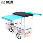 Cargaison de tricycle de vélo de crème glacée d'EQT pour la bicyclette électrique de vélo de congélateur de vente d'affaires de rue pour les boissons froides
