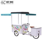 Vélo de cargaison de tricycle de crème glacée de réfrigérateur d'EQT 138L à vendre Front Loading Pedal Assist Freezer de haute qualité