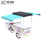 Vélo de cargaison de tricycle de crème glacée de réfrigérateur d'EQT 138L à vendre Front Loading Pedal Assist Freezer de haute qualité