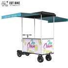 EQT 138 litres mou de vélos de crème glacée à vendre le congélateur de cargaison de vacances d'été de chariot de congélateur font du vélo vendant la crème glacée électrique