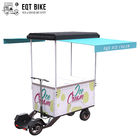 Scooter de crème glacée d'EQT 138 litres de congélateur de vélo de cargaison vendant le scooter électrique de crème glacée