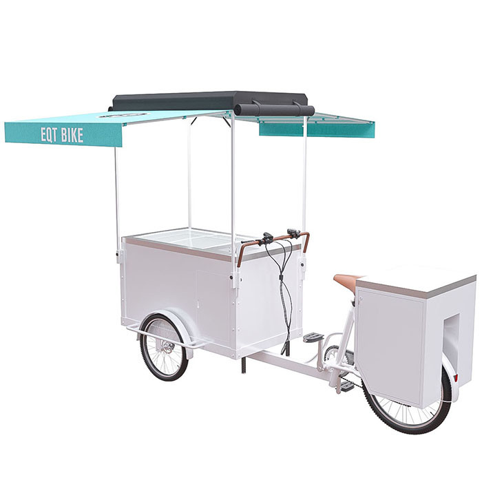 Chariot électrique fait sur commande de bicyclette de crème glacée avec la grande capacité de charge