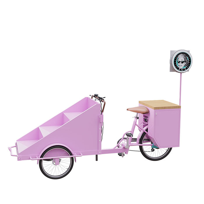 Le chariot de vente de scooter de cadre en acier a adapté l'eau/système aux besoins du client électrique