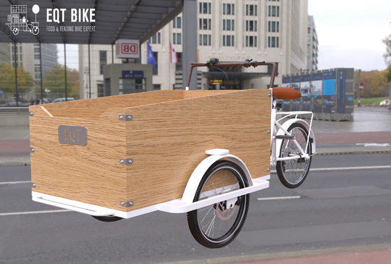 Vélo électrique de cargaison de tricycle de structure de boîte pour des enfants